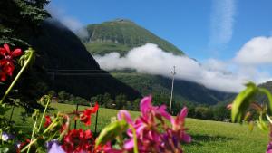 Naturlandschaft in der Nähe der Pension
