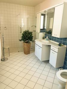 a bathroom with a sink and a toilet and a mirror at Ferienwohnung Mila in Obernhof