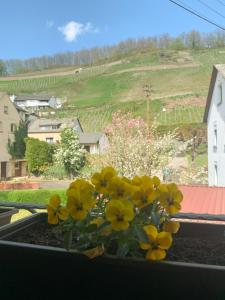 a bunch of yellow flowers sitting on a window sill at Ferienwohnung Mila in Obernhof
