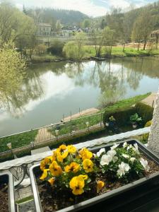 a pot of flowers sitting on a ledge next to a river at Ferienwohnung Mila in Obernhof