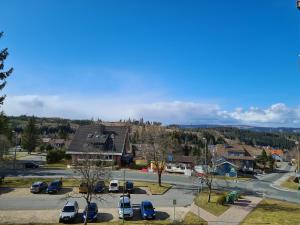 a town with cars parked in a parking lot at Hike & Bike in Altenau