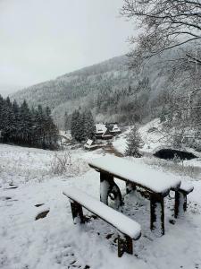 Apartament Mountains Góry Sowie v zime