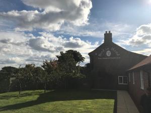 Aed väljaspool majutusasutust The Bird in Hand