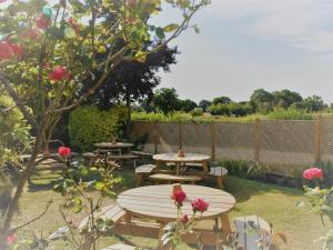 Aed väljaspool majutusasutust The Bird in Hand