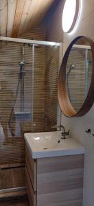 a bathroom with a sink and a shower and a mirror at Wild Carp in Dunavăţu de Jos