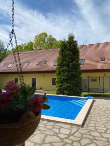 Bazén v ubytování Pension U Starýho Dubu nebo v jeho okolí