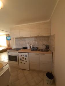 Köök või kööginurk majutusasutuses Apartman Cherry Gradac Valjevo