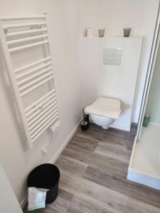 a small bathroom with a toilet and a shower at Charmant T1 bis dans un quartier calme in Brest