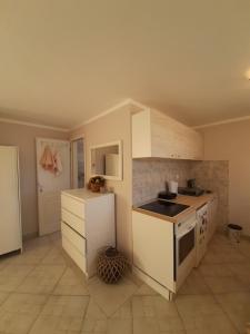 Köök või kööginurk majutusasutuses Apartman Cherry Gradac Valjevo