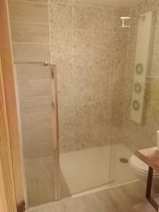 a bathroom with a glass shower with a toilet at Studio dans les pins Lacanau in Lacanau