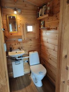 Baño pequeño con aseo y lavamanos en Cosy Cabin by Lake & Woods with Views en Selfoss