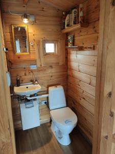 Baño pequeño con aseo y lavamanos en Cosy Cabin by Lake & Woods with Views, en Selfoss