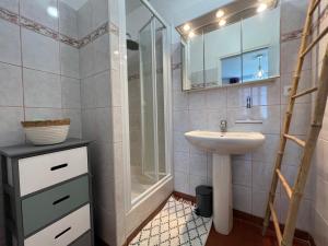 a bathroom with a sink and a shower at Proche le Mans, Parigné l'Evêque,maison forestière, accueil chevaux possible 11 pers in Parigné-lʼÉvêque +11 photos