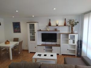 salon z kanapą i telewizorem w obiekcie Apartemento Pablo w Santiago de Compostela