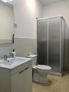 La salle de bains est pourvue d'une douche, de toilettes et d'un lavabo. dans l'établissement Apartamento con piscina en Ciudad Jardín, à Malaga