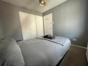 a bedroom with a bed with a stuffed animal on it at Brighton Central Home with free parking in Brighton & Hove