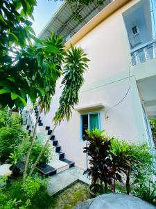Zahrada ubytování TAMONWAN HOUSE Koh Tao + 36 fotografií