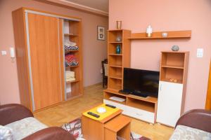 een woonkamer met een tv en enkele planken bij Apartman Lens in Novi Sad