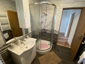 a bathroom with a shower and a sink and a toilet at Apartment Liso in Seliste Dreznicko
