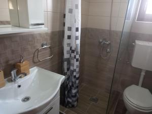 a bathroom with a toilet and a sink and a shower at Mašine kolibe in Kaludjerske Bare