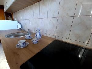 Kuchyň nebo kuchyňský kout v ubytování Apartments Dalmatia