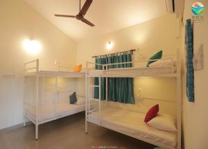Tempat tidur susun dalam kamar di Tropical Wave Hostel Morjim