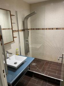 La salle de bains est pourvue d'un lavabo et d'une douche. dans l'établissement Bel appartement composé de deux chambres, à Saint Etienne