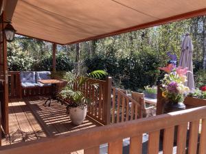 Balkón nebo terasa v ubytování B&B Porcini