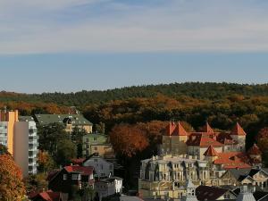 Príroda v okolí apartmánu