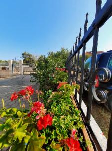 Zahrada ubytování Apartments Dalmatia
