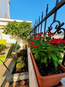 Zahrada ubytování Apartments Dalmatia