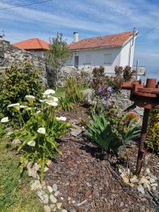 a garden with flowers in front of a house at Casa da Portela in Caminha