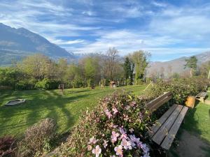 a park bench in a field with flowers and mountains at Agriturismo Ortesida in Morbegno