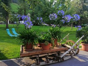 A garden outside Appartement Gredler Martina