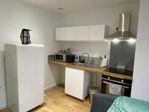 a small kitchen with a sink and a microwave at Vernon, Le Donalice in Vernon +5 photos