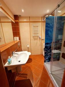 a bathroom with a sink and a shower at Apart 5 by Villmaris in Pobierowo