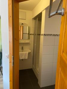 ein Bad mit einer Dusche und einem Waschbecken in der Unterkunft Der Limes Kipfenberg in Kipfenberg
