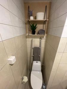 a small bathroom with a toilet and shelves on the wall at Kalda Guesthouse in Haapsalu