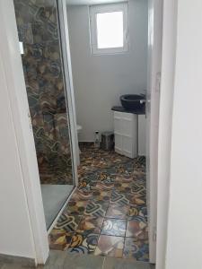 a bathroom with a shower and a toilet and a sink at Maison de village au calme - Alonia Village House in Psinthos