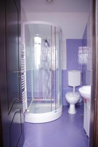 a bathroom with a shower and a toilet at Pensiunea Beny in T&acirc;rgu Jiu