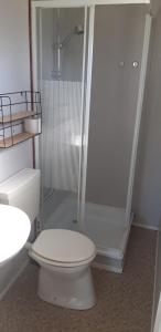 een badkamer met een wit toilet en een douche bij Chalet op mooie rustige plek in Enschede