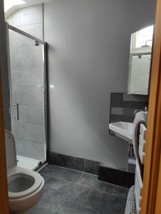 a bathroom with a toilet and a sink at Town Centre House with parking in Cheltenham