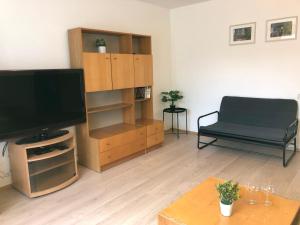 TV a/nebo společenská místnost v ubytování Apartmány Jevany