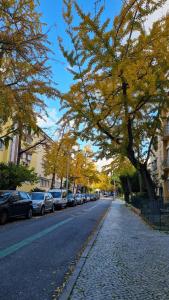 a tree with yellow leaves on a street with parked cars at Majesticlara Lisbon Guest House in Lisbon