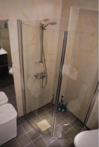 een douche met een glazen deur in de badkamer bij Apartment on Whaleisland in Sjurdnes