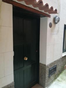Una puerta verde con un gato sentado encima. en Appartamento Severino - Rariche House en Camerota
