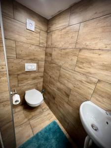 a bathroom with a toilet and a sink at Apartman Cvjetni in Njivice