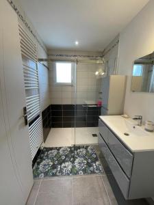 een badkamer met een douche, een wastafel en een spiegel bij Maison de vacances in Léon
