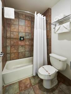 a bathroom with a toilet and a tub and a shower at Century Casino & Hotel Cripple Creek in Cripple Creek
