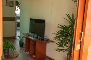 a room with a tv on a wall with plants at Uma casa inteirinha pra você! in Itanhandu